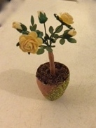 Miniature rose bush - paper roses and quilling paper pot